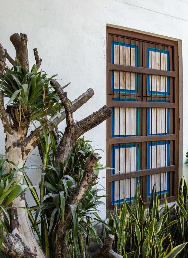 Casa Jacaranda Hotel Boutique - Cauca Viejo - Mayores De 14 Anos - Херико Экстерьер фото